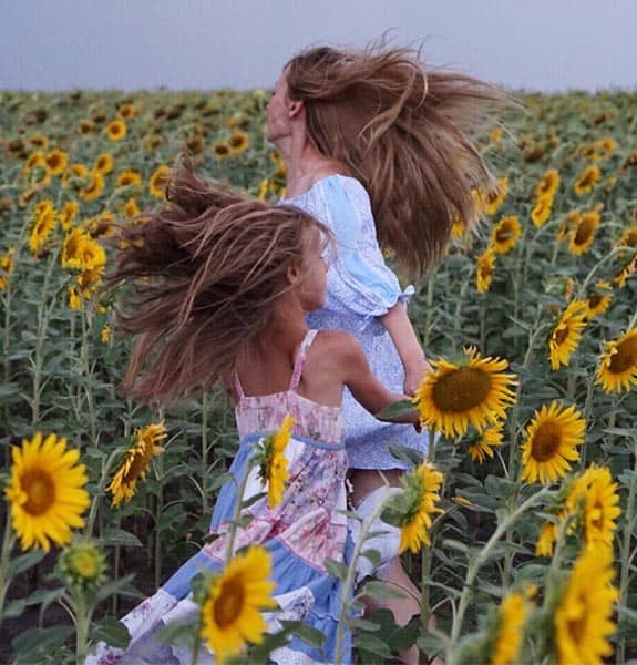 family solicitors chelmsford 1