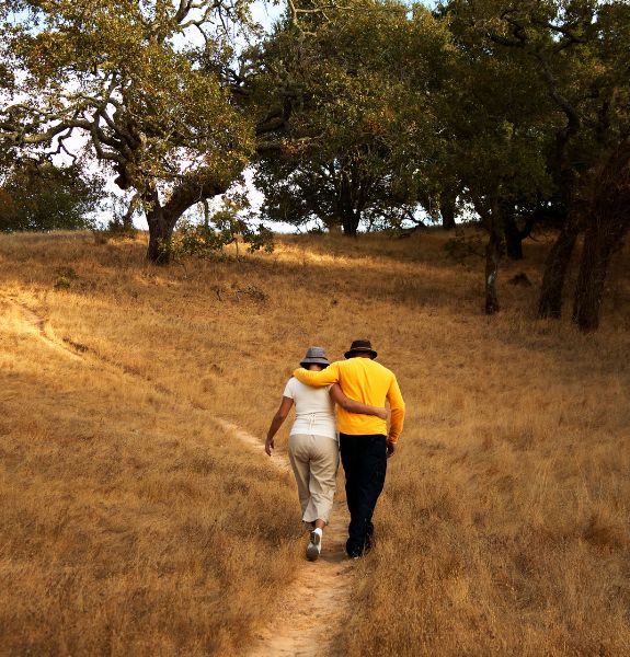 domestic abuse solicitors1